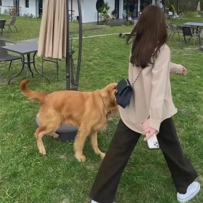宝贝回家